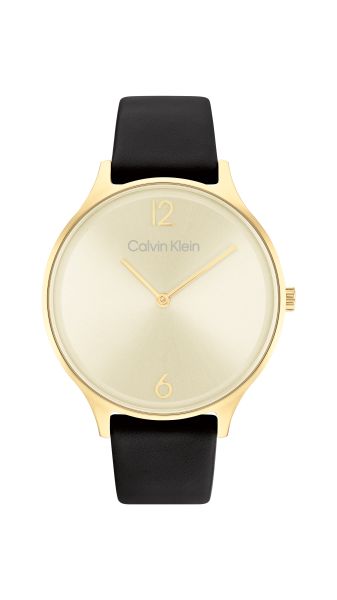 Calvin Klein Timeless 2H женские часы 25200008
