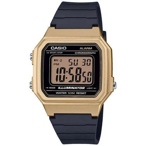 Casio Collection meeste käekell W-217HM-9AVEF