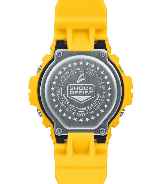 Casio G-Shock meeste käekell DW-6900TR-9ER